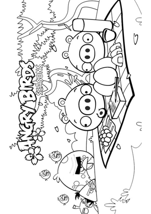 Plansa de colorat cu Angry Birds 5 102
